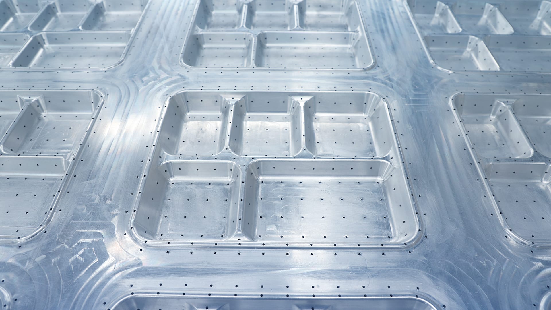 Meal Tray Molds